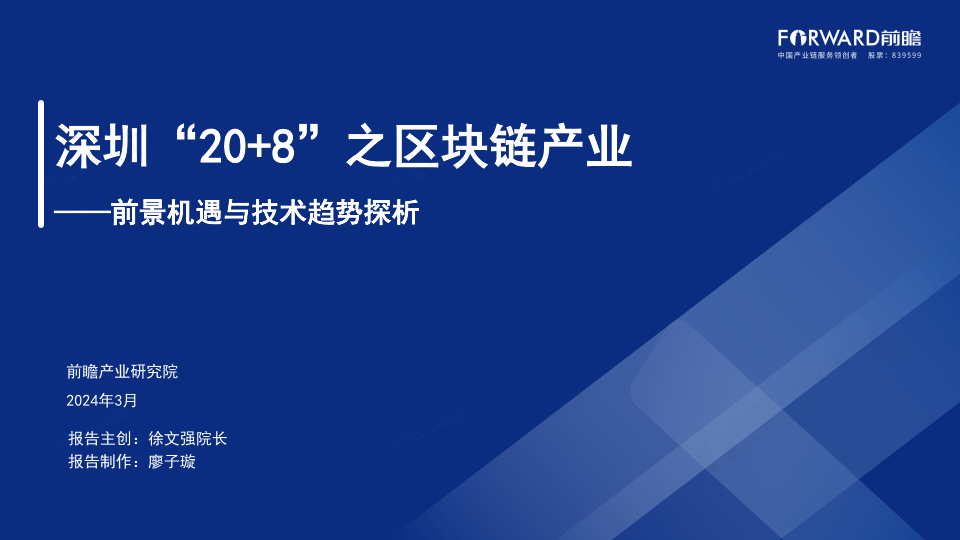 2024深圳20+8之區(qū)塊鏈產(chǎn)業(yè)-前景機遇與技術趨勢探析報告