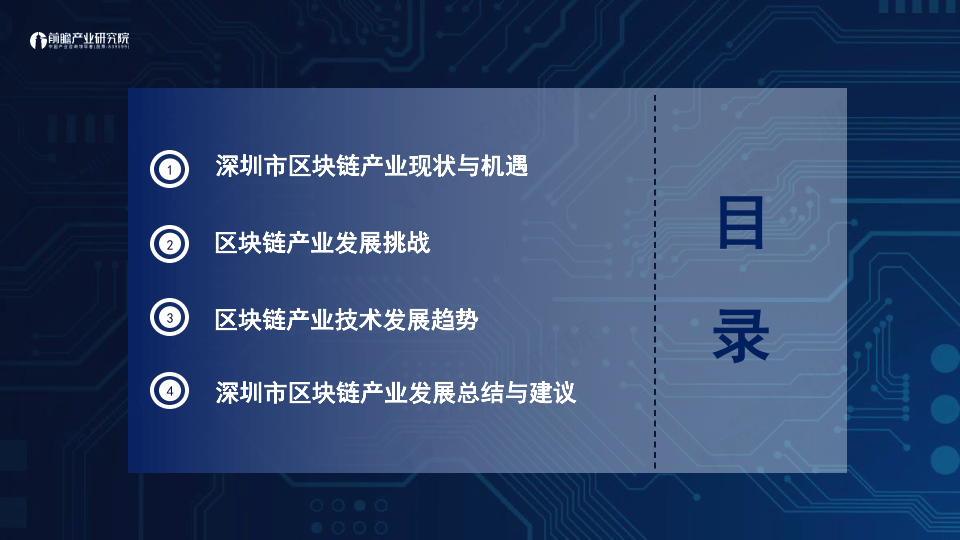 2024深圳20+8之區(qū)塊鏈產(chǎn)業(yè)-前景機遇與技術趨勢探析報告