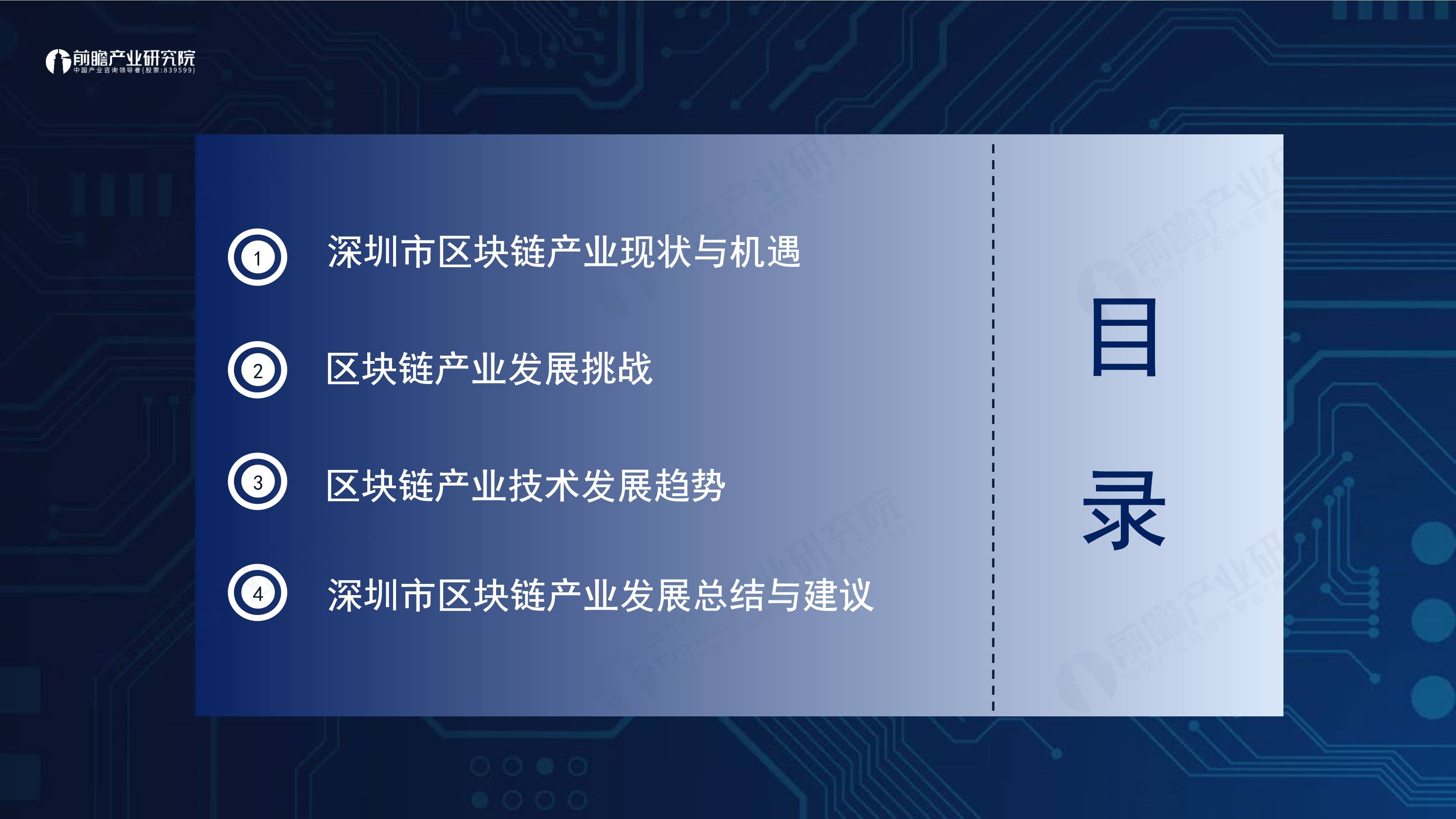 2024深圳20+8之區(qū)塊鏈產(chǎn)業(yè)-前景機(jī)遇與技術(shù)趨勢探析報(bào)告（免費(fèi)下載）