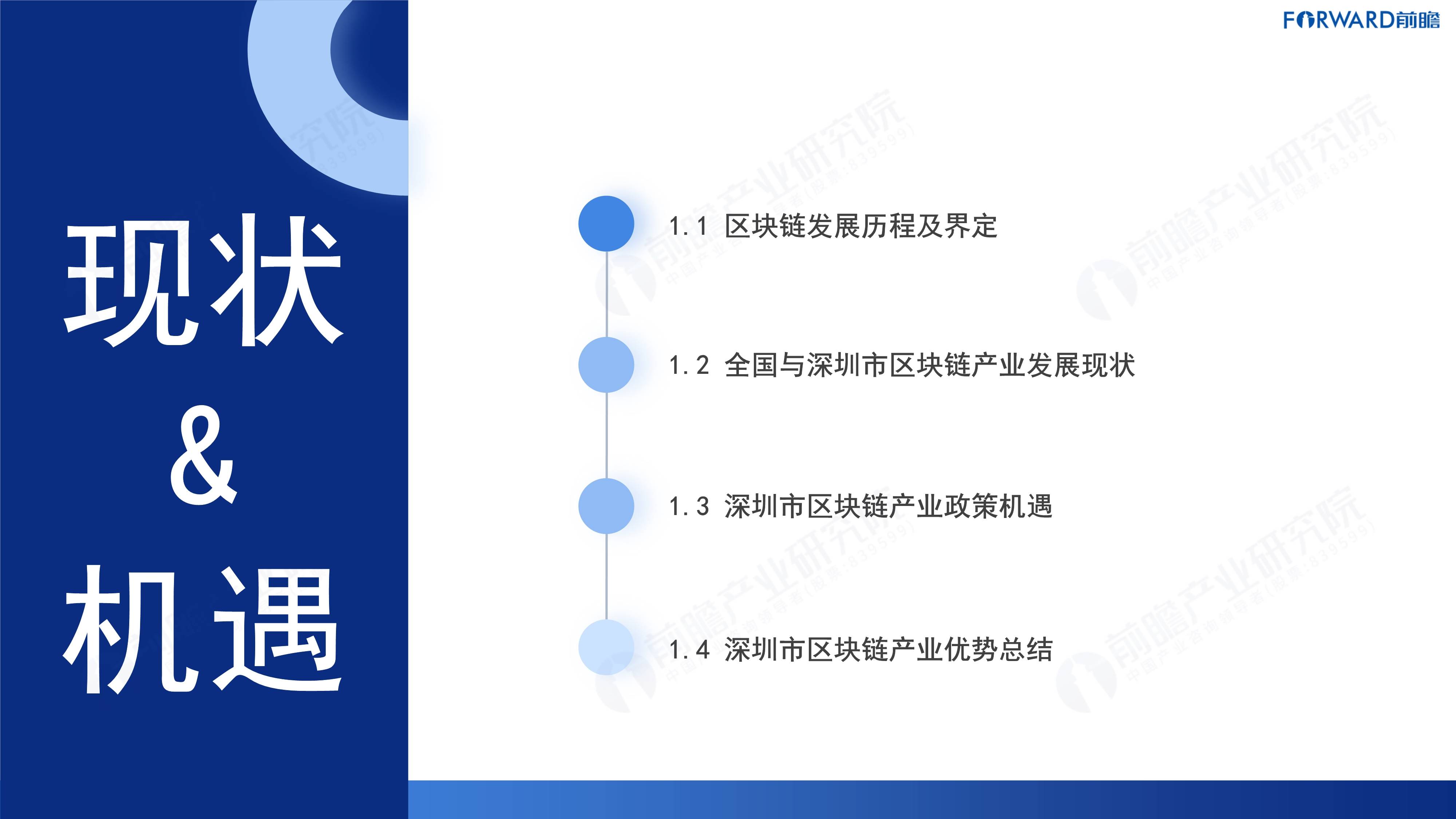 2024深圳20+8之區(qū)塊鏈產(chǎn)業(yè)-前景機(jī)遇與技術(shù)趨勢探析報(bào)告（免費(fèi)下載）