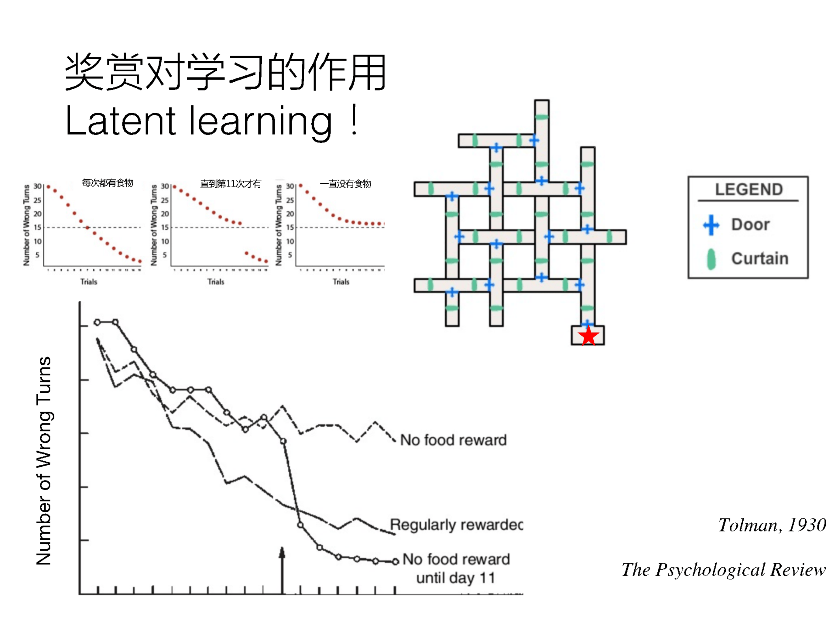 頻繁使用GPS喪失方向感？清華大學(xué)陳霓虹：影響或可逆，可通過(guò)學(xué)習(xí)訓(xùn)練提升