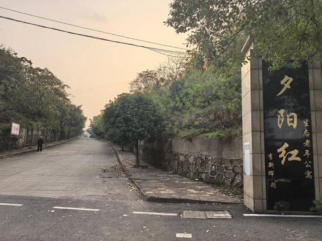 夕陽紅公寓爆雷：一場瘋狂的龐氏騙局走向崩塌