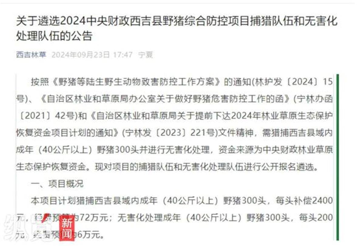 賞金獵人團已在南京捕獲133頭野豬，還差67頭才能拿到每頭二三千元補貼，他們真的很賺錢？