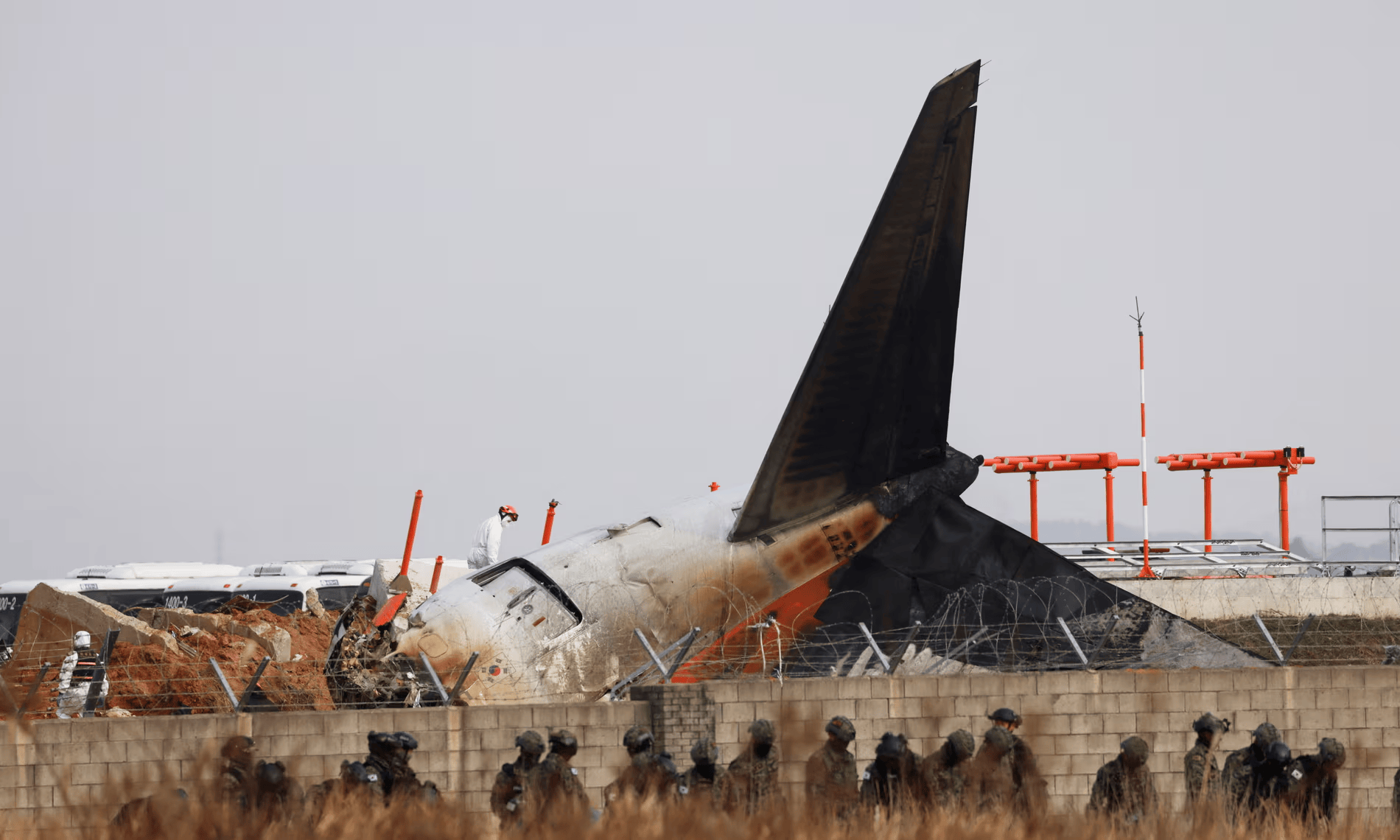 航空專家：撞鳥本身通常難以導致飛機墜毀