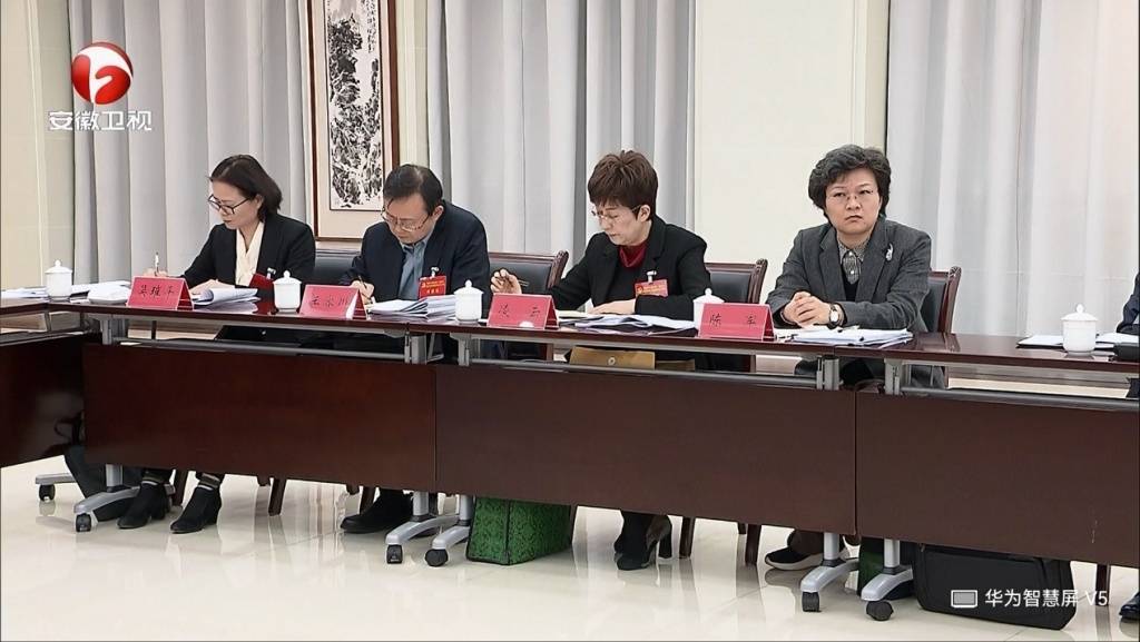 卸任黃山市委書記后，凌云參加了安徽省委十一屆九次全會