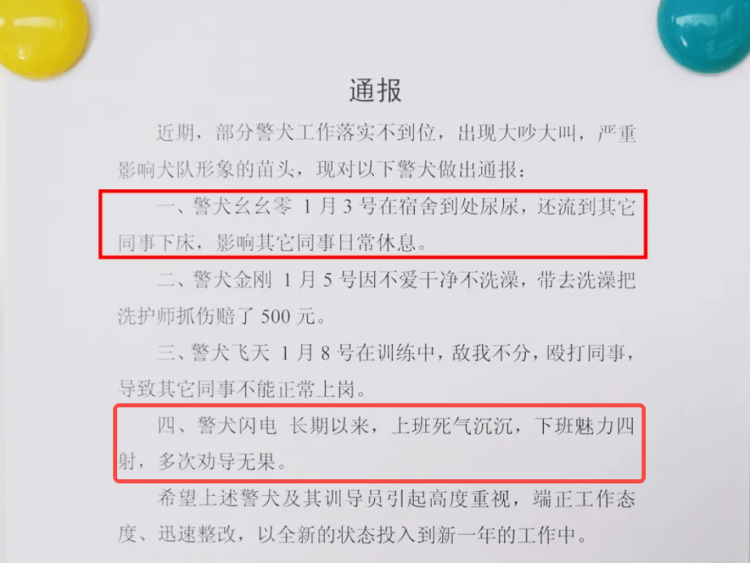 “上班死氣沉沉、下班魅力四射”，警犬被通報