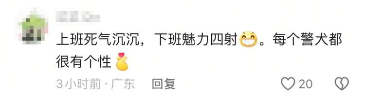 “上班死氣沉沉、下班魅力四射”，警犬被通報