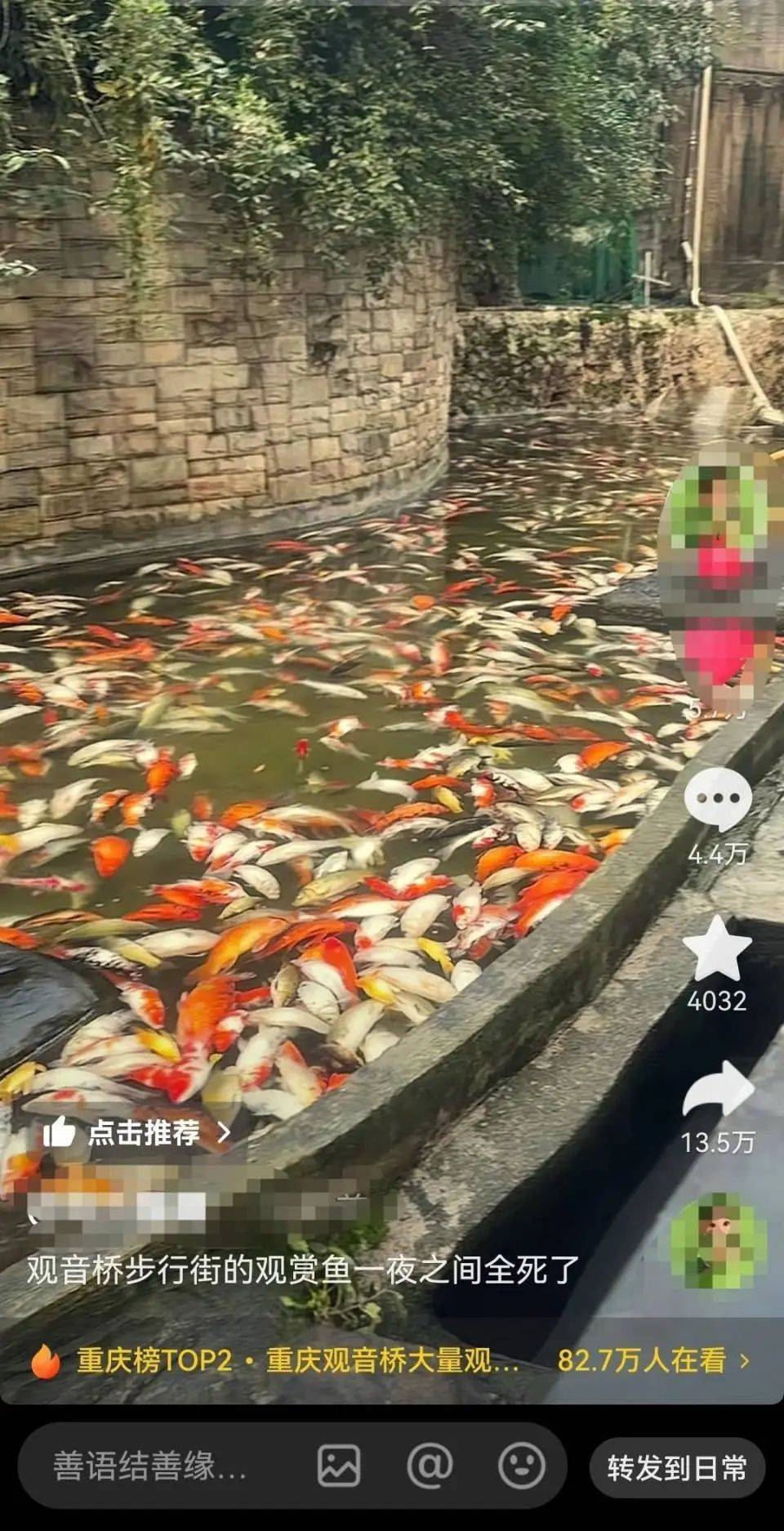 ?一公園觀賞魚(yú)大量死亡，死魚(yú)裝滿30余編織袋，警方通報(bào)