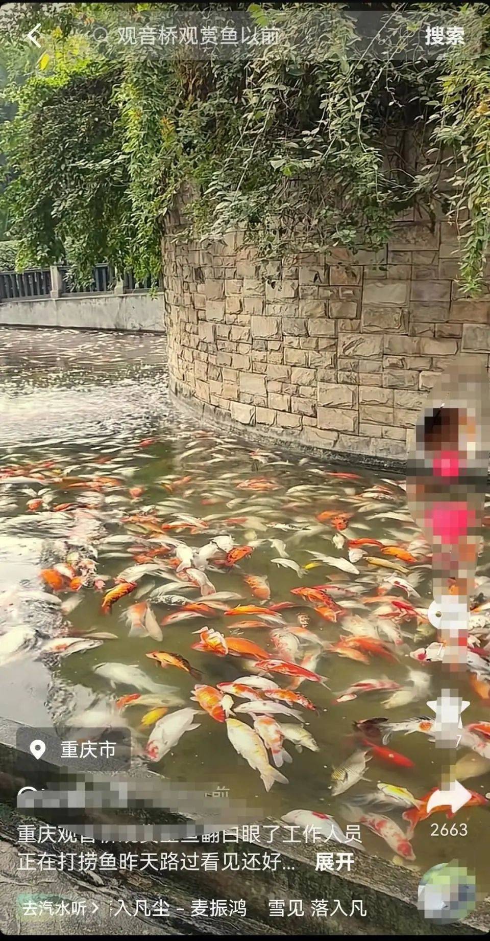 ?一公園觀賞魚(yú)大量死亡，死魚(yú)裝滿30余編織袋，警方通報(bào)