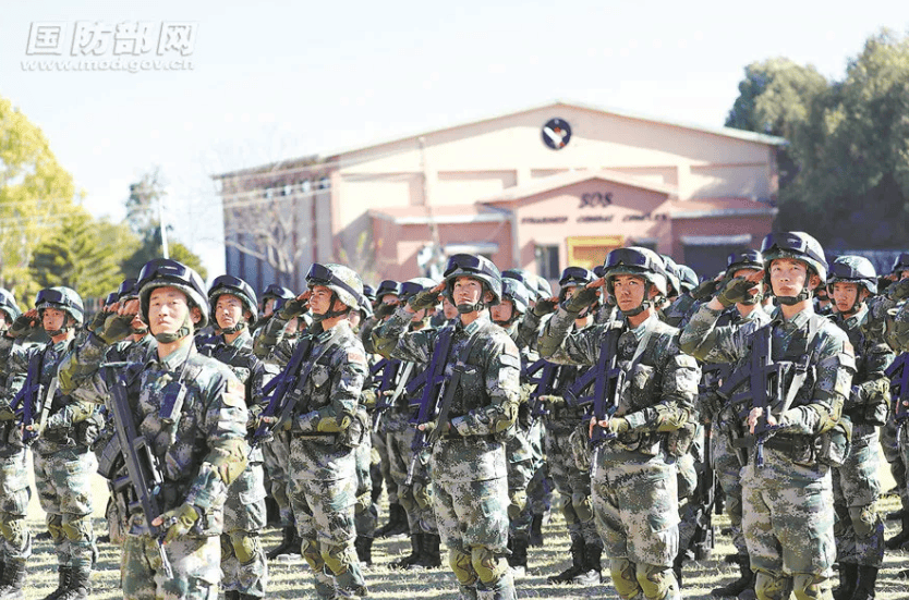 金燦榮：電詐集團(tuán)太猖狂！必要時(shí)派解放軍消滅！